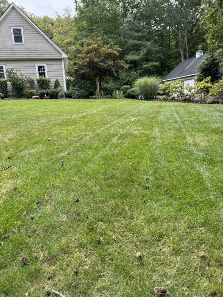 Aeration | Jersey Worms Landscaping