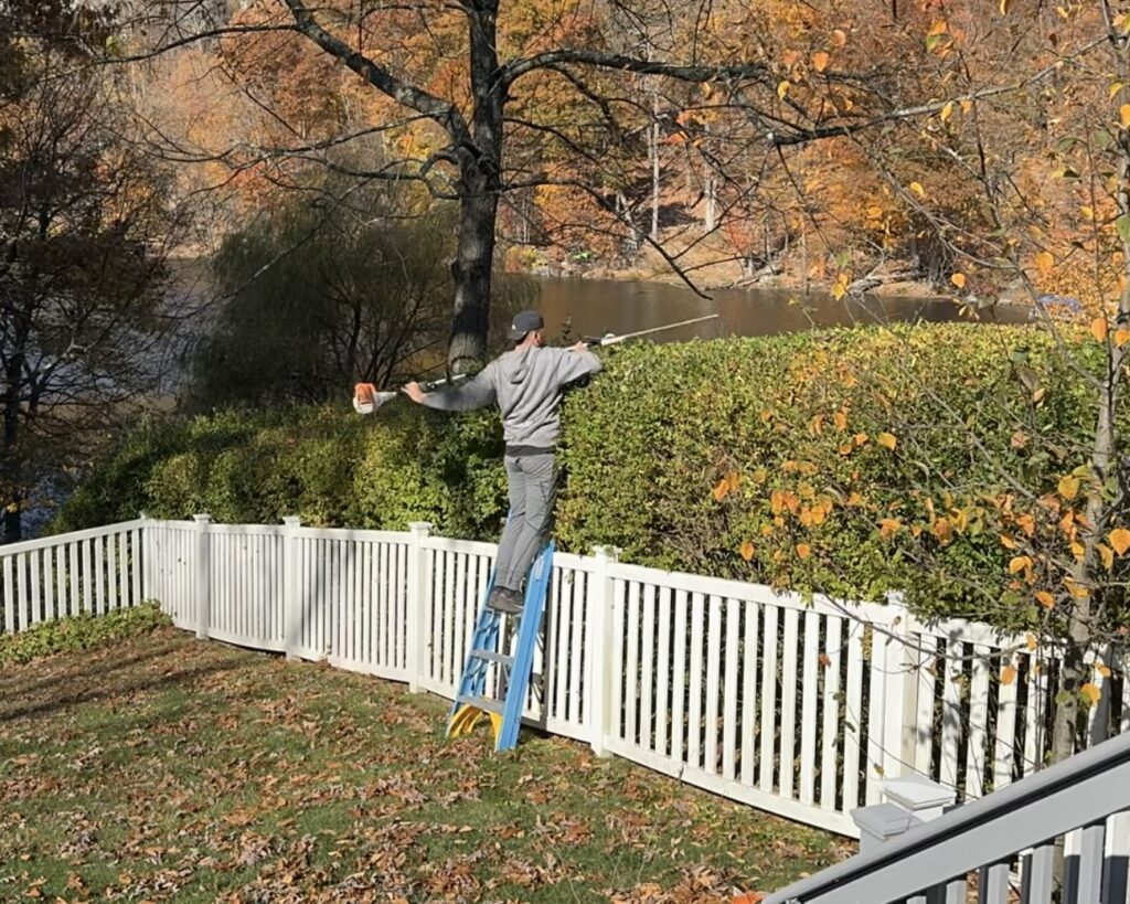 Hedge Trimming | Jersey Worms Landscaping